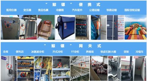 座头鲸基于lorar的网关式智能产品赋能冷链物流行业物联新基建