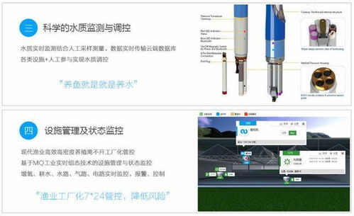 智渔科技 智慧渔业物联网水产养殖新理念