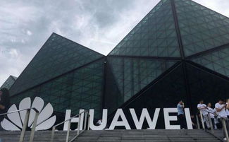 特朗普见不得中国领先,那就不好意思了 刚刚,中方对美亮明立场